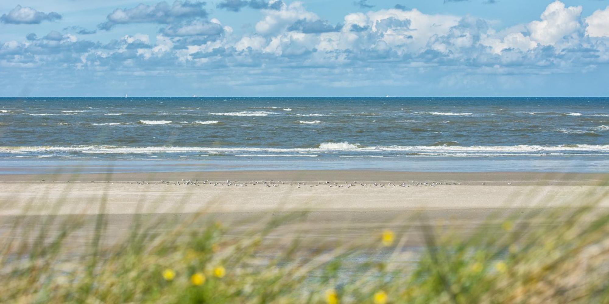 Willa Deichblick Suederloog 38 Spiekeroog Zewnętrze zdjęcie